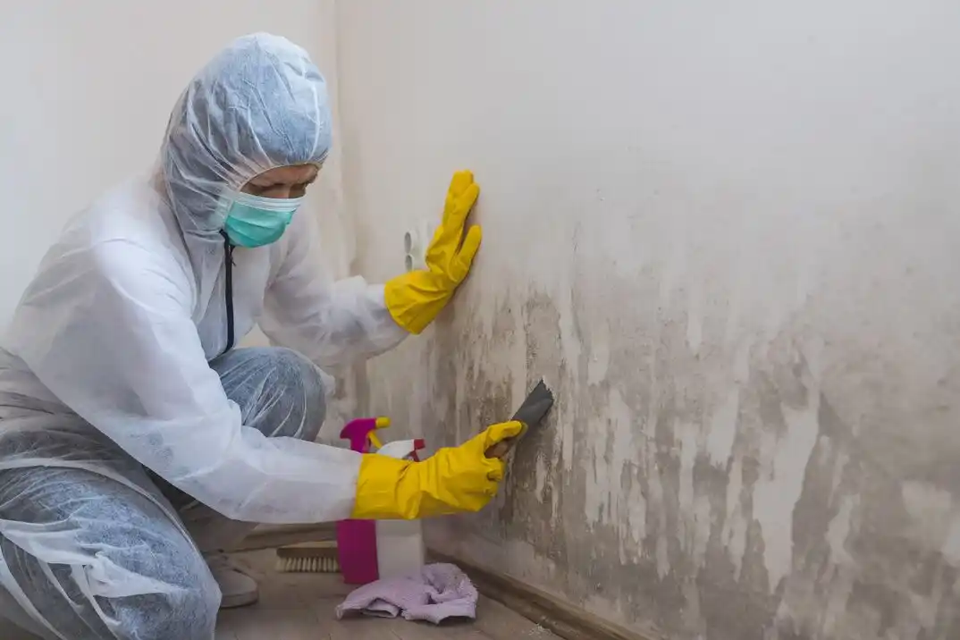 water damage restoration service Highland Hills